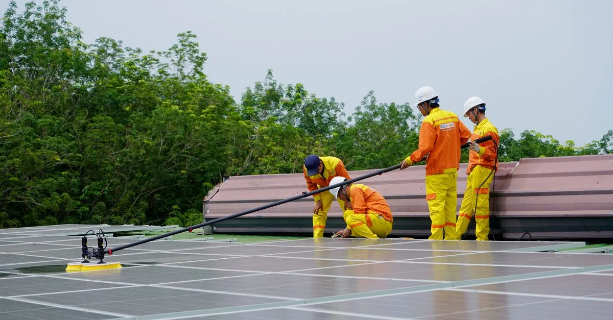 découvrez nos conseils essentiels pour l'entretien des panneaux solaires afin d'optimiser leur performance et prolonger leur durée de vie.