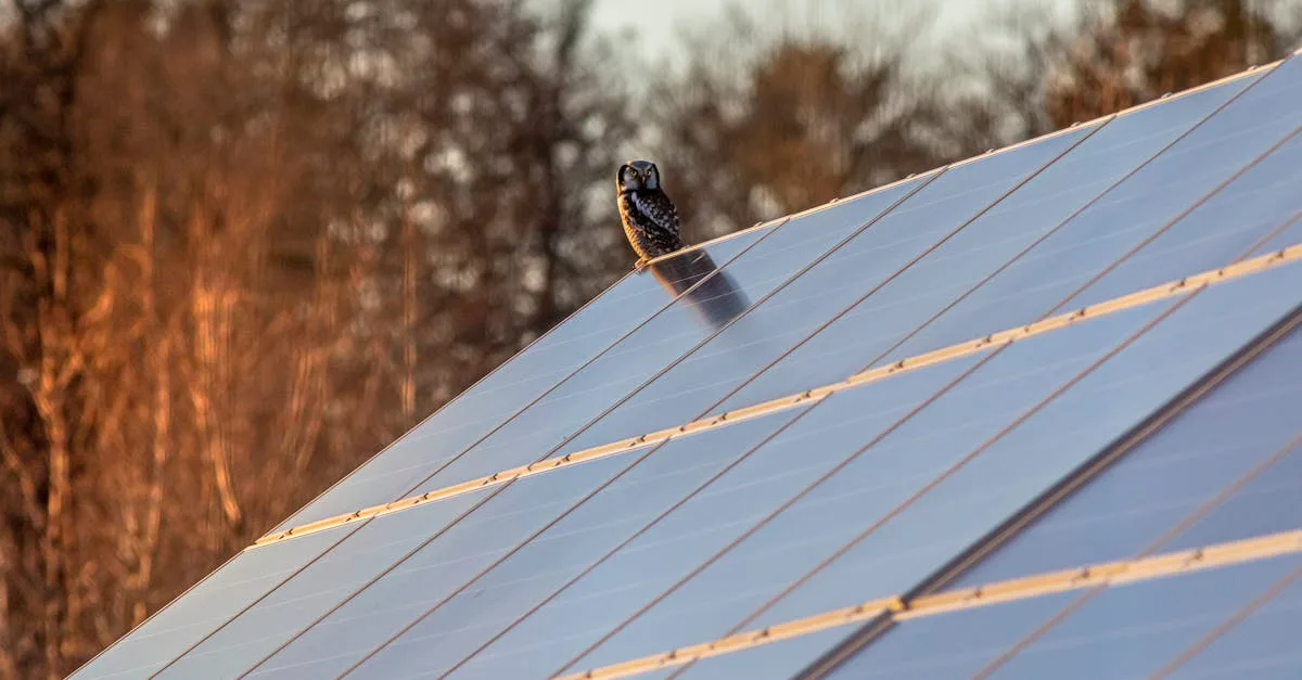 optimisez votre consommation d'énergie avec l'autoconsommation solaire : réduisez vos factures et contribuez à un avenir énergétique durable.